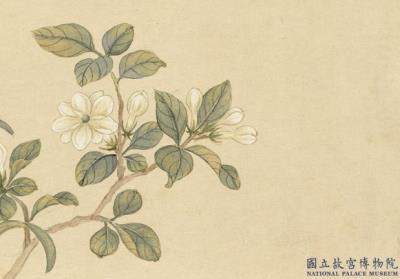 图片[2]-Flowers-China Archive